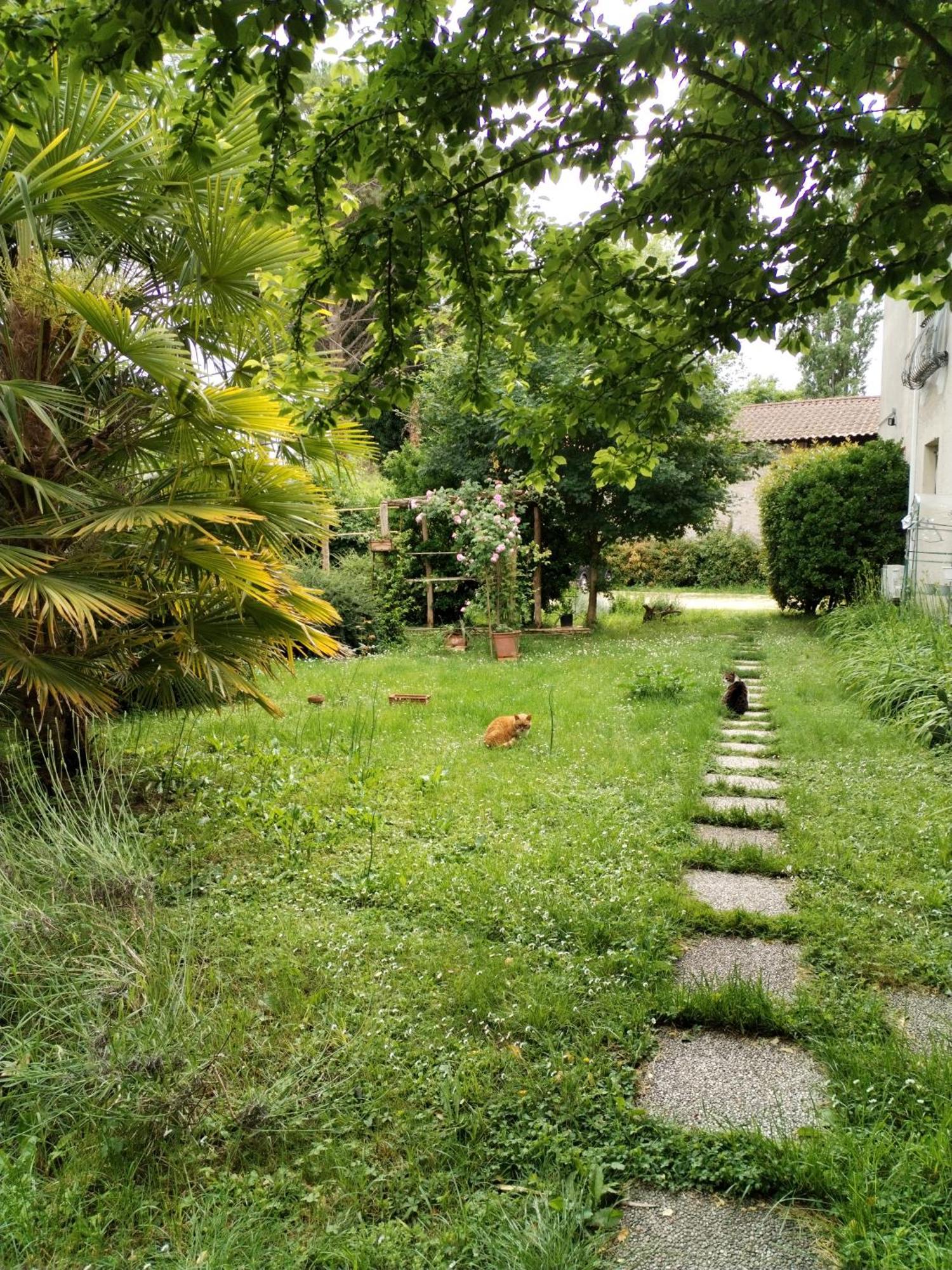 Stasion Di Pueste Nogaredo Bagian luar foto